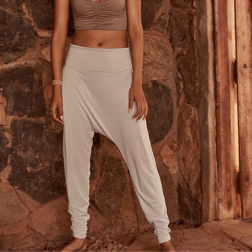 NWT Free People Echo Harland pant (color: CLAY)
